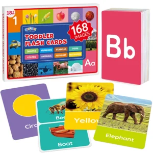 Toddler Educational Flash Cards
